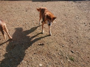 f:id:roukenhome-ann:20181112053355j:plain f:id:roukenhome-ann:20181112053355j:plain