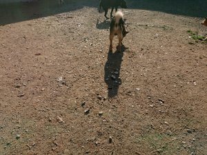 f:id:roukenhome-ann:20181112053401j:plain f:id:roukenhome-ann:20181112053401j:plain