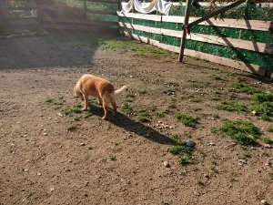 f:id:roukenhome-ann:20181112053413j:plain f:id:roukenhome-ann:20181112053413j:plain