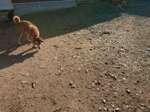 f:id:roukenhome-ann:20181112053419j:plain f:id:roukenhome-ann:20181112053419j:plain