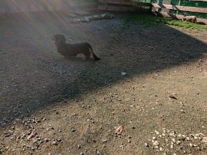 f:id:roukenhome-ann:20181112053430j:plain f:id:roukenhome-ann:20181112053430j:plain