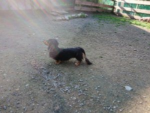 f:id:roukenhome-ann:20181112053434j:plain f:id:roukenhome-ann:20181112053434j:plain