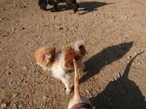 f:id:roukenhome-ann:20181112053438j:plain f:id:roukenhome-ann:20181112053438j:plain