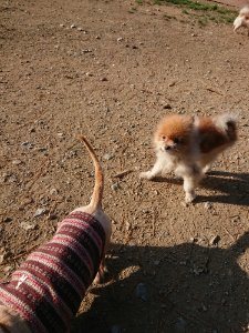 f:id:roukenhome-ann:20181112064035j:plain f:id:roukenhome-ann:20181112064035j:plain