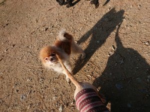 f:id:roukenhome-ann:20181112064042j:plain f:id:roukenhome-ann:20181112064042j:plain