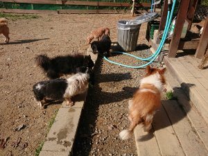 f:id:roukenhome-ann:20181112064101j:plain f:id:roukenhome-ann:20181112064101j:plain
