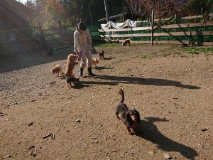 f:id:roukenhome-ann:20181112064106j:plain f:id:roukenhome-ann:20181112064106j:plain