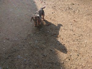 f:id:roukenhome-ann:20181112064113j:plain f:id:roukenhome-ann:20181112064113j:plain