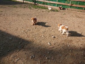 f:id:roukenhome-ann:20181112064135j:plain f:id:roukenhome-ann:20181112064135j:plain