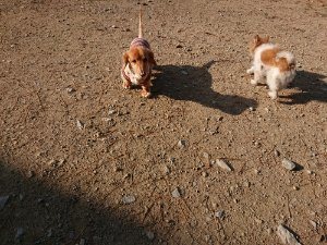 f:id:roukenhome-ann:20181112064142j:plain f:id:roukenhome-ann:20181112064142j:plain