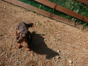 f:id:roukenhome-ann:20181112064157j:plain f:id:roukenhome-ann:20181112064157j:plain