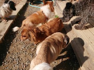 f:id:roukenhome-ann:20181112064201j:plain f:id:roukenhome-ann:20181112064201j:plain