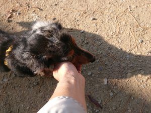 f:id:roukenhome-ann:20181112064210j:plain f:id:roukenhome-ann:20181112064210j:plain