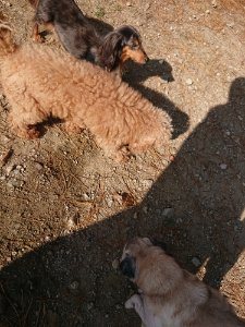 f:id:roukenhome-ann:20181112064237j:plain f:id:roukenhome-ann:20181112064237j:plain