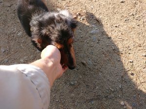 f:id:roukenhome-ann:20181112064241j:plain f:id:roukenhome-ann:20181112064241j:plain