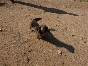 f:id:roukenhome-ann:20181112064253j:plain f:id:roukenhome-ann:20181112064253j:plain