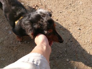 f:id:roukenhome-ann:20181112064307j:plain f:id:roukenhome-ann:20181112064307j:plain