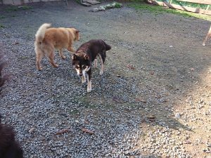 f:id:roukenhome-ann:20181112064514j:plain f:id:roukenhome-ann:20181112064514j:plain