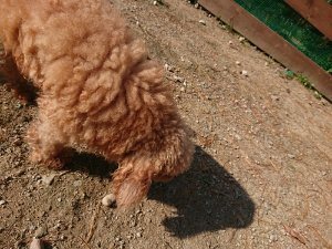 f:id:roukenhome-ann:20181112064537j:plain f:id:roukenhome-ann:20181112064537j:plain