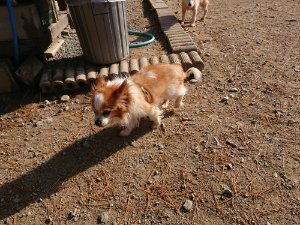 f:id:roukenhome-ann:20181112064546j:plain f:id:roukenhome-ann:20181112064546j:plain