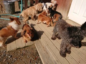 f:id:roukenhome-ann:20181112064550j:plain f:id:roukenhome-ann:20181112064550j:plain