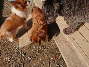 f:id:roukenhome-ann:20181112064558j:plain f:id:roukenhome-ann:20181112064558j:plain