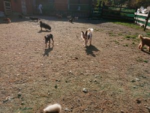 f:id:roukenhome-ann:20181112064615j:plain f:id:roukenhome-ann:20181112064615j:plain