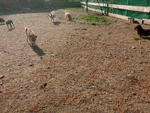 f:id:roukenhome-ann:20181112064644j:plain f:id:roukenhome-ann:20181112064644j:plain