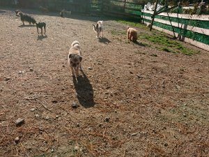 f:id:roukenhome-ann:20181112064738j:plain f:id:roukenhome-ann:20181112064738j:plain