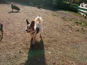 f:id:roukenhome-ann:20181112064743j:plain f:id:roukenhome-ann:20181112064743j:plain