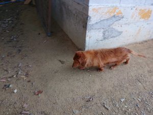 f:id:roukenhome-ann:20181112064747j:plain f:id:roukenhome-ann:20181112064747j:plain
