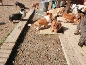 f:id:roukenhome-ann:20181112070804j:plain f:id:roukenhome-ann:20181112070804j:plain