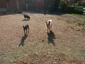 f:id:roukenhome-ann:20181112070823j:plain f:id:roukenhome-ann:20181112070823j:plain
