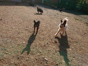 f:id:roukenhome-ann:20181112070827j:plain f:id:roukenhome-ann:20181112070827j:plain