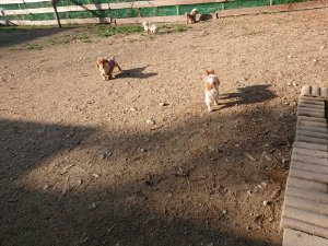 f:id:roukenhome-ann:20181112070846j:plain f:id:roukenhome-ann:20181112070846j:plain