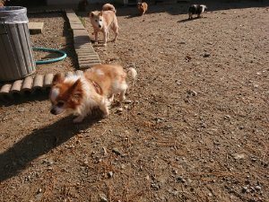 f:id:roukenhome-ann:20181112070854j:plain f:id:roukenhome-ann:20181112070854j:plain