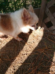 f:id:roukenhome-ann:20181112070902j:plain f:id:roukenhome-ann:20181112070902j:plain