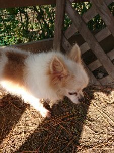 f:id:roukenhome-ann:20181112070911j:plain f:id:roukenhome-ann:20181112070911j:plain
