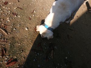 f:id:roukenhome-ann:20181112070915j:plain f:id:roukenhome-ann:20181112070915j:plain