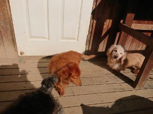 f:id:roukenhome-ann:20181112070954j:plain f:id:roukenhome-ann:20181112070954j:plain