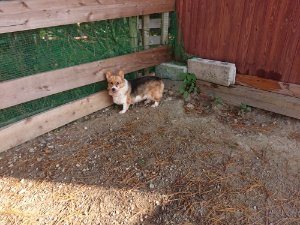 f:id:roukenhome-ann:20181112071002j:plain f:id:roukenhome-ann:20181112071002j:plain
