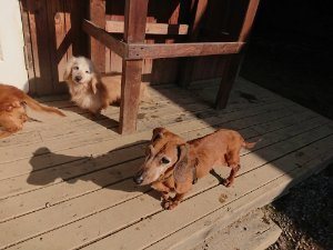 f:id:roukenhome-ann:20181112071028j:plain f:id:roukenhome-ann:20181112071028j:plain