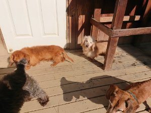 f:id:roukenhome-ann:20181112071035j:plain f:id:roukenhome-ann:20181112071035j:plain