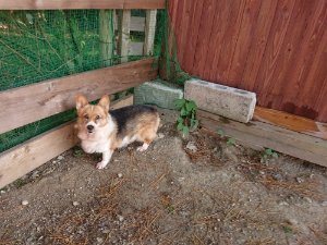 f:id:roukenhome-ann:20181112071039j:plain f:id:roukenhome-ann:20181112071039j:plain