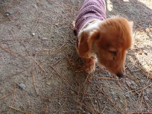 f:id:roukenhome-ann:20181112071043j:plain f:id:roukenhome-ann:20181112071043j:plain