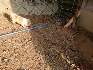 f:id:roukenhome-ann:20181113052749j:plain
