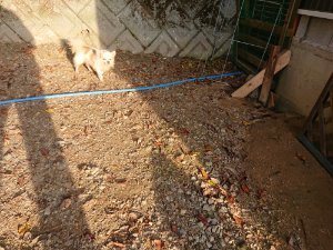 f:id:roukenhome-ann:20181113052802j:plain