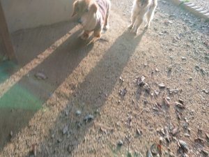 f:id:roukenhome-ann:20181113052813j:plain