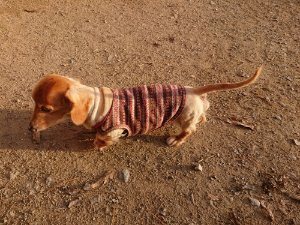 f:id:roukenhome-ann:20181113052820j:plain