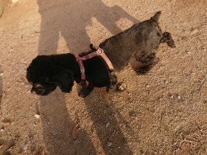 f:id:roukenhome-ann:20181113052824j:plain